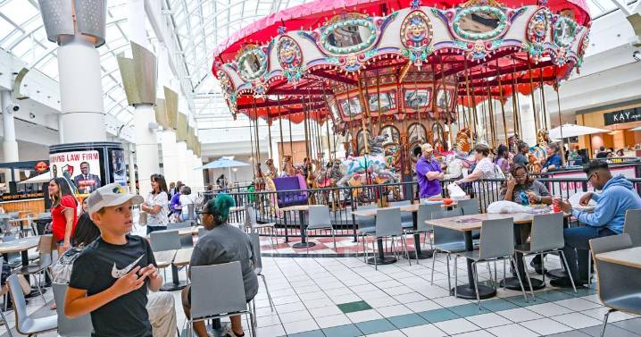 Finding sweetness in disruption and other surprising places, like the Mall of Louisiana