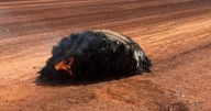 Alerta mundial: cayó una bola de fuego en la Tierra que alarmó a los científicos