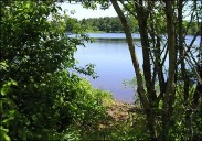 'Partial human remains' found in lake at park in Mansfield