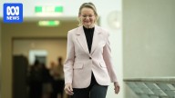 Sussan Ley backtracks on call for Kevin Rudd to be sacked as US ambassador