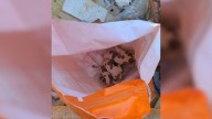 Construction Worker In Virginia Hears Faint Cries From Dumpster And Makes A Heartbreaking Discovery