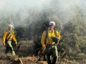 Photos: Crews extinguish fire in outbuilding on Flagstaff Road that housed rabbits, cats
