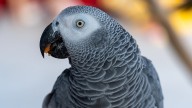 Your astrological week ahead for October 25th, with Psychic Bob