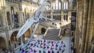 Museums after dark: London’s historic halls get a new lease on life