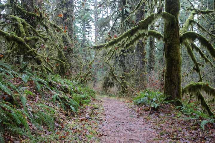 Oregon-filmed movies haunt these spooky hikes