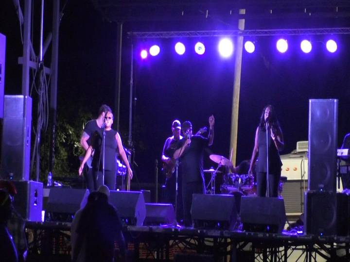 Thousands attend the annual 7th Avenue Heritage Festival
