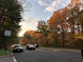 NYC weather: Thunderstorms Sunday night to usher in cooler temperatures