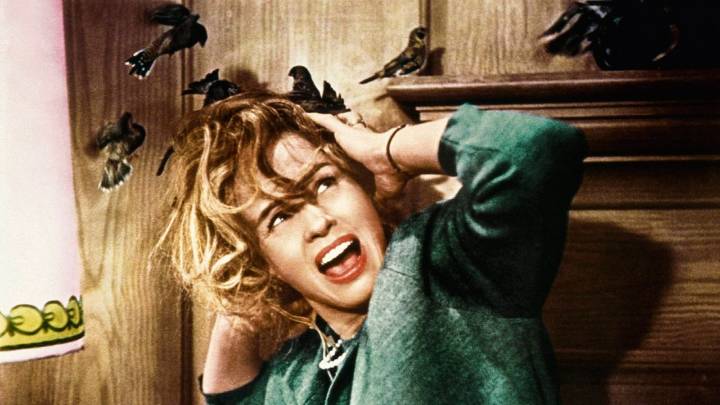 The 81 Best Spooky Movies to Watch for Halloween