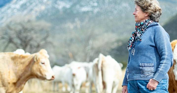 VanWinkle critical of Trump's beef plan