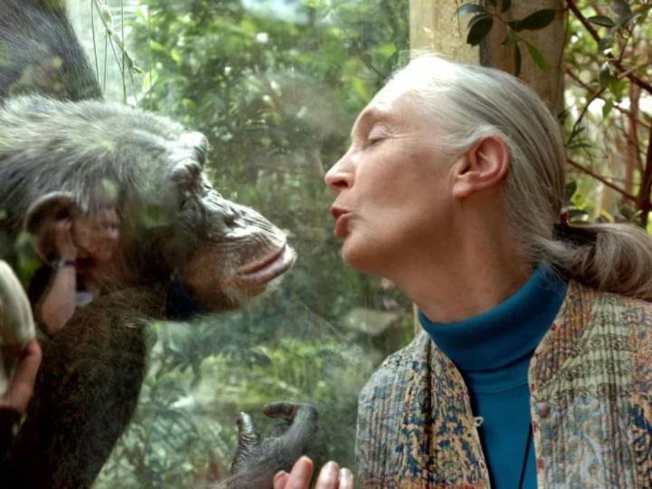 Jane Goodall Death:  Who Were Her Two Husbands, Kids, Career