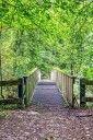 What’s Next? Navigating Life Transitions