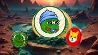 Shiba Inu (SHIB) Bulls Eye $0.000025, But Traders Favor New Token With Massive Hype Like 2023 Pepe Coin (PEPE)