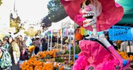 SF comes alive with Halloween parties to close out October