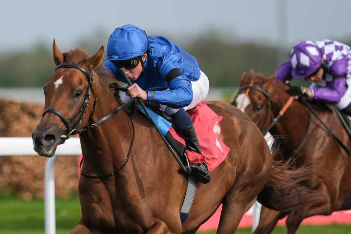 Speed and Romance can write Notable Del Mar Story