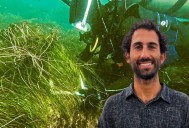 UNESCO galardona a científico mexicano por investigación sobre pastos marinos en Baja California