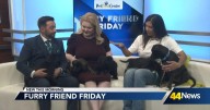 Furry Friend Friday: Meet Bronson and his siblings!