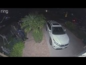 Video shows Halloween decorations stolen from homes in Mira Mesa