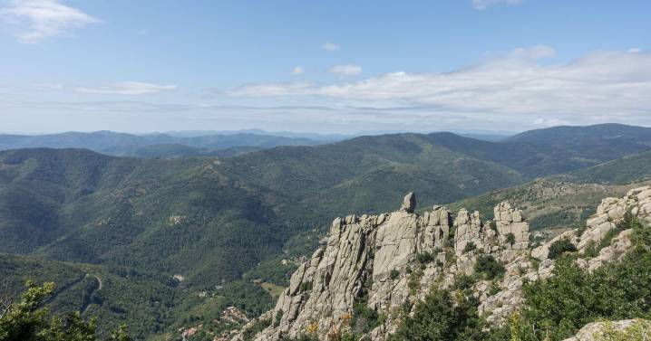 Cyclist falls down 130-foot ravine in France, survives 3 days by drinking wine he had in shopping bag