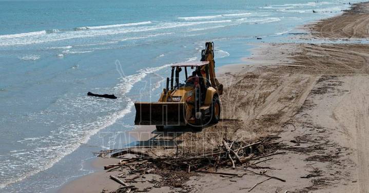 Retiran m?s de 40 toneladas de palizada en Playa Miramar