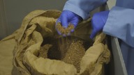 Kentucky lawmakers split over proposed THC limits in hemp products