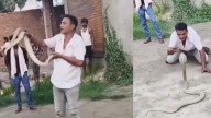 Reconocido ‘domador’ de cobras falleció luego de ser mordido durante una demostración pública