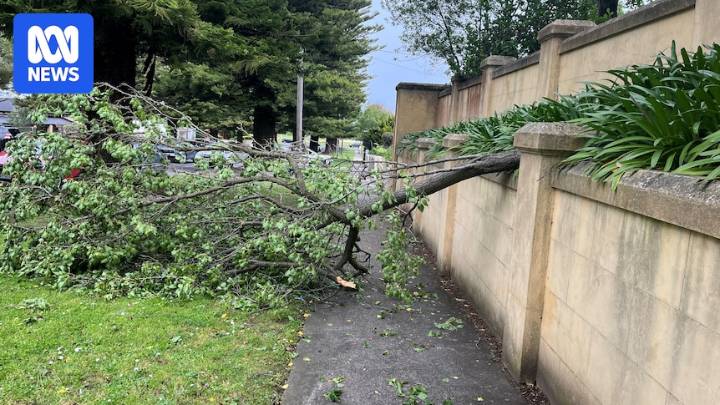 Dangerous winds force Geelong Cup to be postponed as severe weather sweeps across Victoria