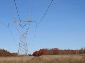 Amid Trump’s clean energy cuts, feds back big power line upgrades in Michigan