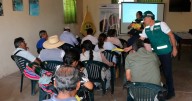 SERFOR impulsa modelos de éxito para fortalecer la cadena productiva de la tara en el Perú