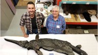 El descubrimiento de una milenaria especie que sorprendió a los especialistas en Europa