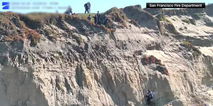 Dog wags its tail, kisses rescuers after it’s plucked from the side of a cliff