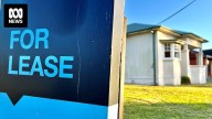 Survey finds majority of Victorian renters face problems — but not nearly as many lodge a complaint
