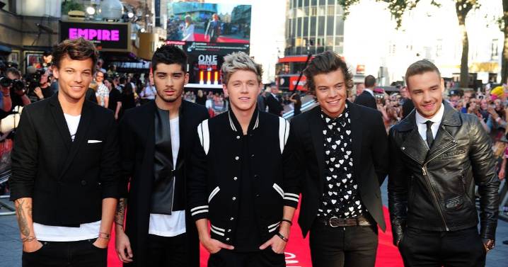 One Direction stars to follow in Liam Payne’s steps with ‘Netflix reunion’