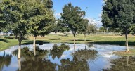 Porterville Pond