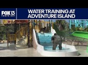 Florida K9's in water training at Adventure Island