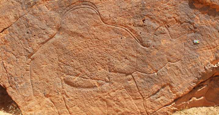 Scientists find ancient animal rock art in the Saudi Arabian desert