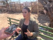 Solicitarán que detengan el Programa la Escuela es Nuestra hasta que cambien reglas de operación
