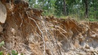 Erosión del suelo: Un desafío agrícola y la estrategia para combatirla