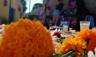Colectiva La Regla Rota honrará a víctimas de feminicidio en Salamanca
