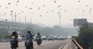 Nueva Delhi amanece como la ciudad más contaminada del mundo tras las celebraciones de Diwali