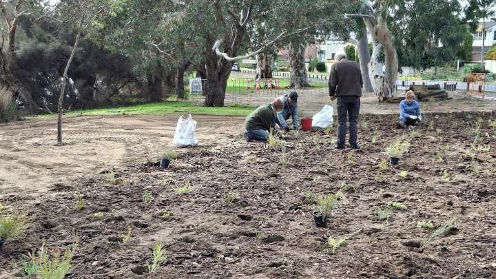 More than $1.5m to restore and protect Canning waterways