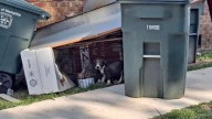 Heartbreak As Sick Puppies From Tennessee Are Found Locked In A Crate And Thrown Away