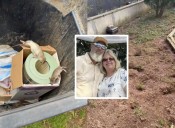 North Brunswick Family’s Nightmare Rat Problem Caused By New Warehouse, They Say