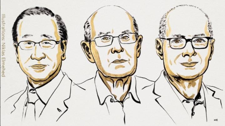 Un británico, un japonés y un jordano-estadounidense recibieron el Premio Nobel de Química