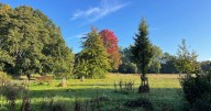 The south Manchester park where gorgeous autumn leaves are starting to appear
