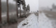 California storm brings first heavy snow to Sierra Nevada with 2