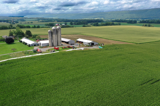 Departamento de Agricultura de EEUU reabre 2.100 oficinas para otorgar créditos a agricultores