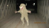 What Waterford residents know about the legendary Sheepsquatch
