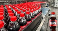 El plan de AJE en gaseosas y aguas: los cambios en marcha para Big Cola y Cielo