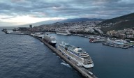 El puerto garantiza el cereal en Tenerife, pero el campo alerta de desabastecimiento