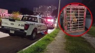 Encuentran hombre en estado de descomposición en Guadalajara; su perrita lo protegió durante días